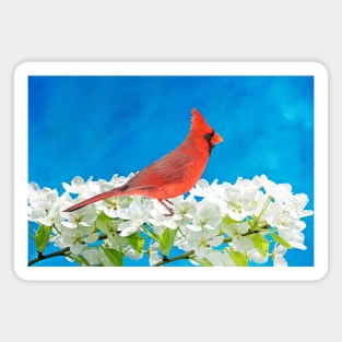 Northern Cardinal in an Apple Tree Magnet